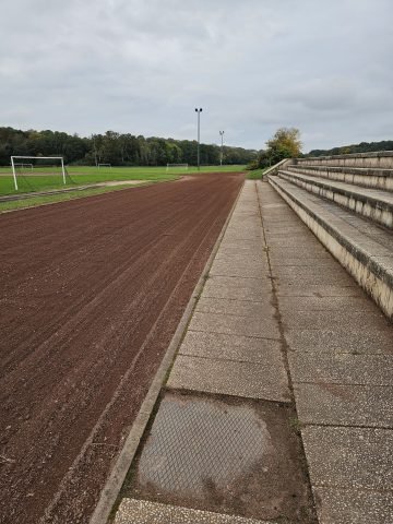 Réalisation paysagère