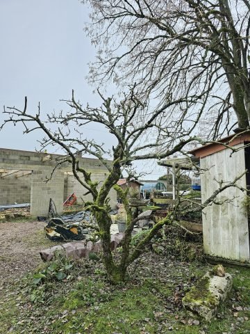 Réalisation paysagère