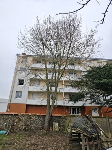 Réalisation paysagère