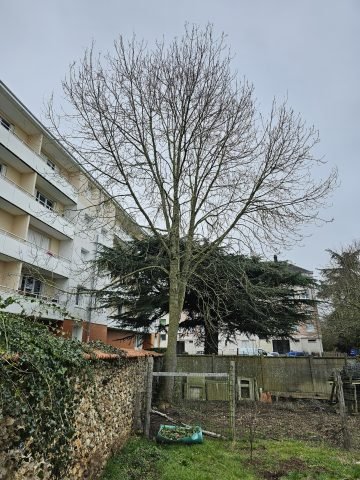 Réalisation paysagère