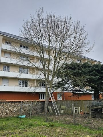 Réalisation paysagère