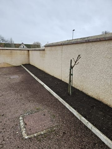 Réalisation paysagère