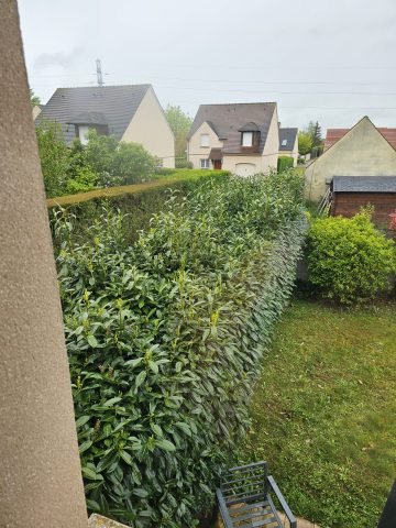 Réalisation paysagère