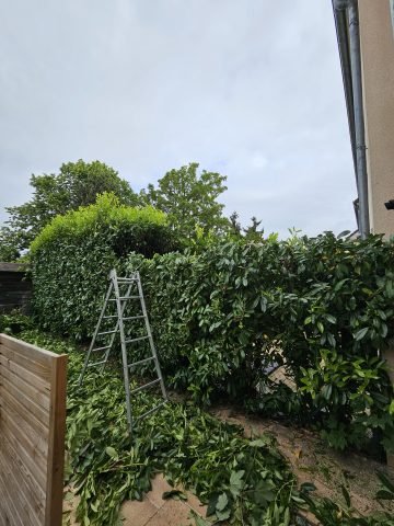 Réalisation paysagère