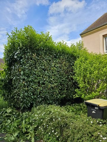 Réalisation paysagère