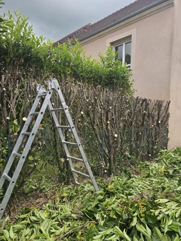 Réalisation paysagère